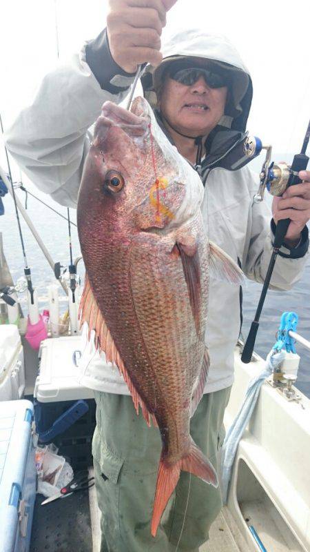 ARCADIAⅡ (アルカディアⅡ) 釣果