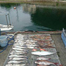 ARCADIAⅡ (アルカディアⅡ) 釣果