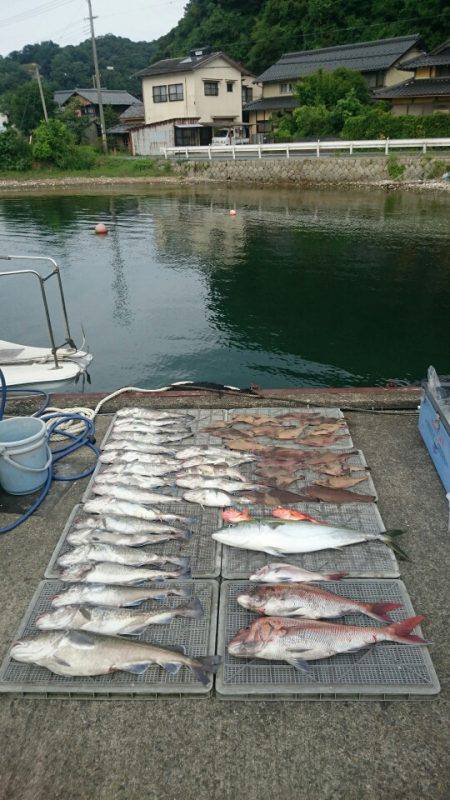 ARCADIAⅡ (アルカディアⅡ) 釣果