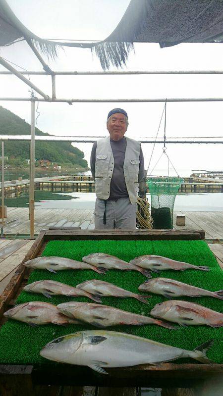 海の釣堀 海恵 釣果