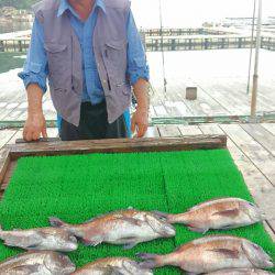 海の釣堀 海恵 釣果