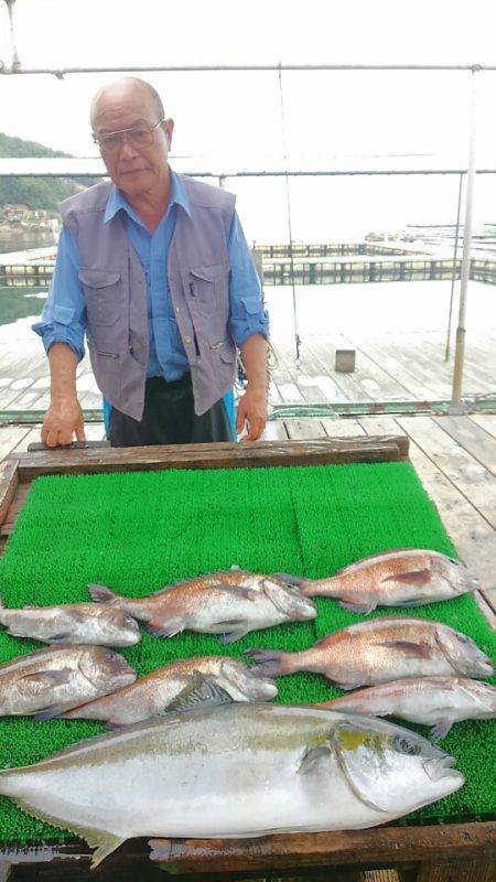 海の釣堀 海恵 釣果