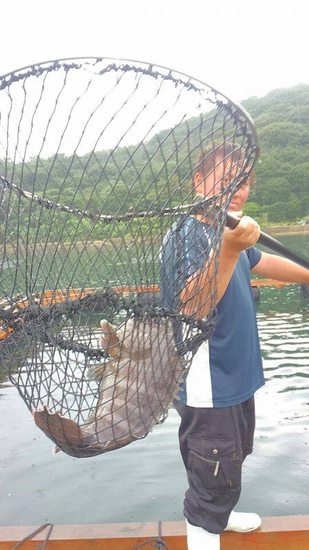 海の釣堀 海恵 釣果