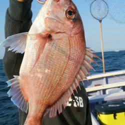 新幸丸 釣果