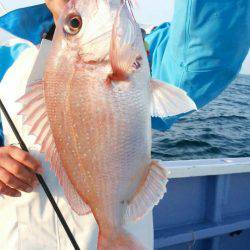 新幸丸 釣果