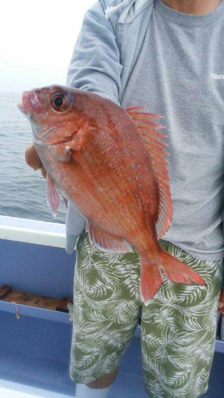 新幸丸 釣果