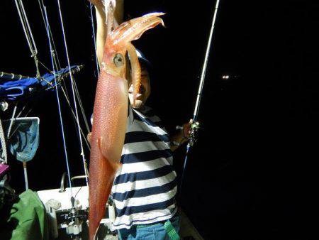 LUSTER『ラスター』 釣果