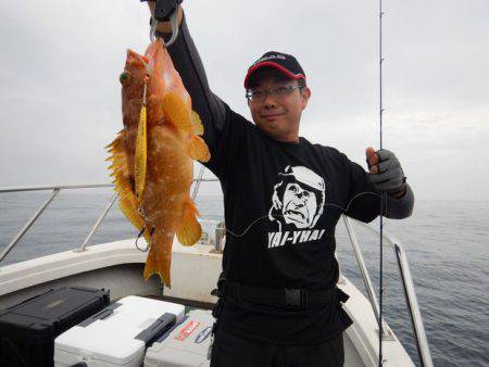 LUSTER『ラスター』 釣果