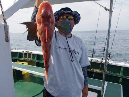 Big One　ビッグワン 釣果