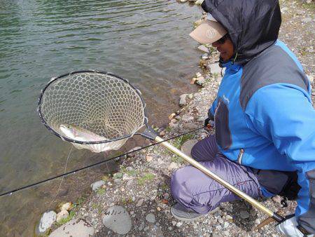 つりぼりあかし 釣果
