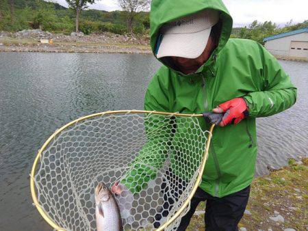 つりぼりあかし 釣果
