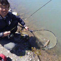 つりぼりあかし 釣果