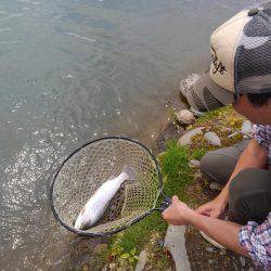 つりぼりあかし 釣果