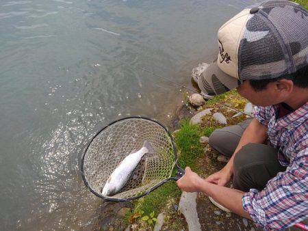 つりぼりあかし 釣果