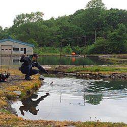 つりぼりあかし 釣果