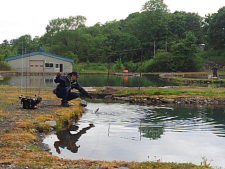 つりぼりあかし 釣果