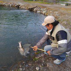 つりぼりあかし 釣果