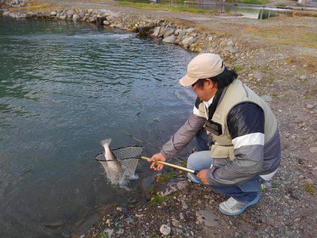 つりぼりあかし 釣果