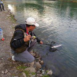 つりぼりあかし 釣果