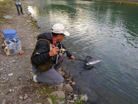 つりぼりあかし 釣果