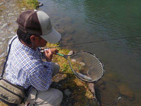 つりぼりあかし 釣果
