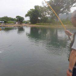 つりぼりあかし 釣果