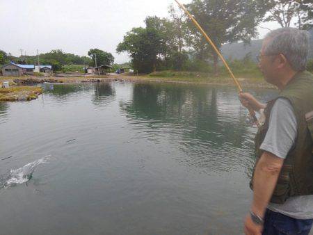 つりぼりあかし 釣果