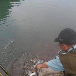 つりぼりあかし 釣果