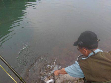 つりぼりあかし 釣果