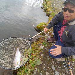 つりぼりあかし 釣果