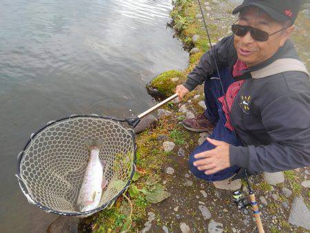つりぼりあかし 釣果