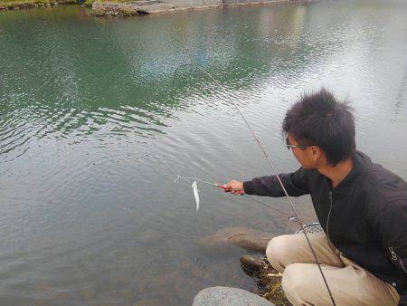 つりぼりあかし 釣果