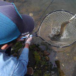 つりぼりあかし 釣果