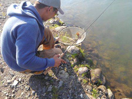 つりぼりあかし 釣果
