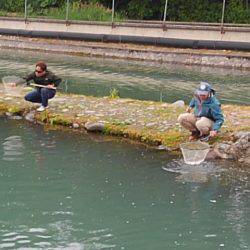 つりぼりあかし 釣果