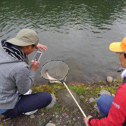 つりぼりあかし 釣果