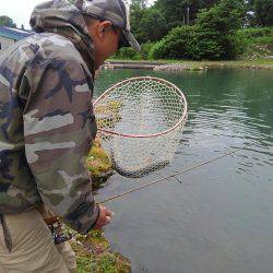 つりぼりあかし 釣果