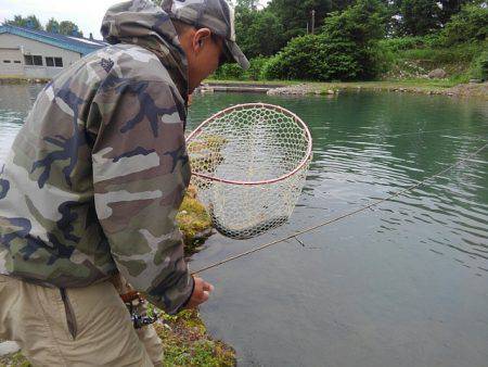 つりぼりあかし 釣果