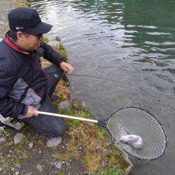 つりぼりあかし 釣果