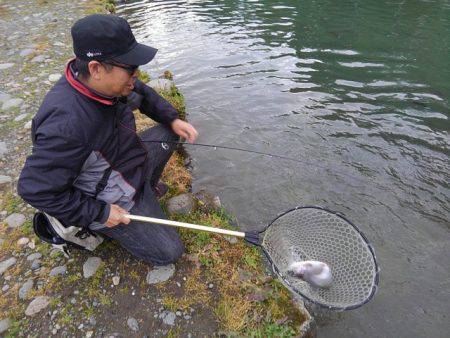 つりぼりあかし 釣果