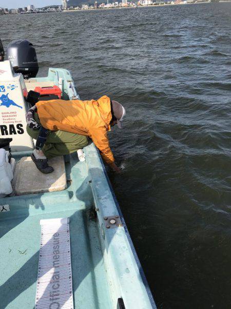 アマテラス 釣果