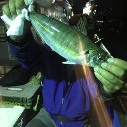 海龍丸(石川) 釣果