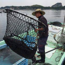 海の釣堀 海恵 釣果