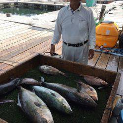 海の釣堀 海恵 釣果