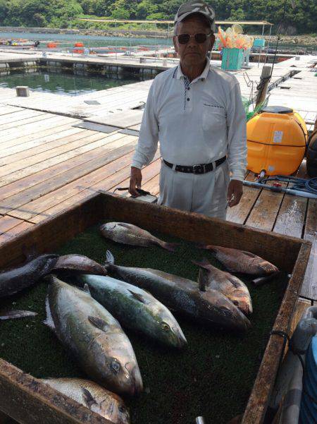 海の釣堀 海恵 釣果