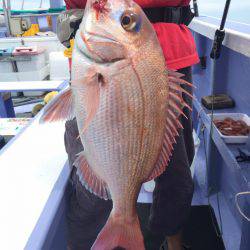 新幸丸 釣果