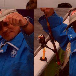 金沢八景鴨下丸 釣果