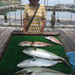 海の釣堀 海恵 釣果