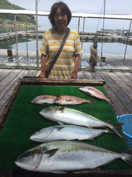 海の釣堀 海恵 釣果