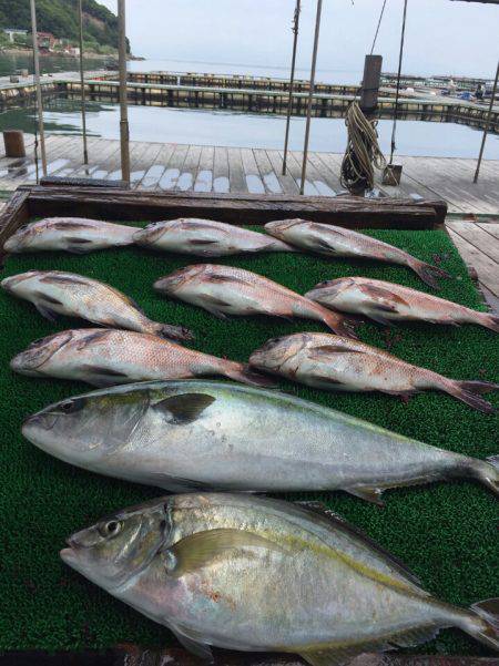 海の釣堀 海恵 釣果